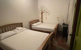 Mango Cafe And Hostel